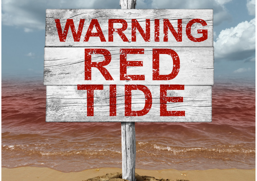 warning red tide sign